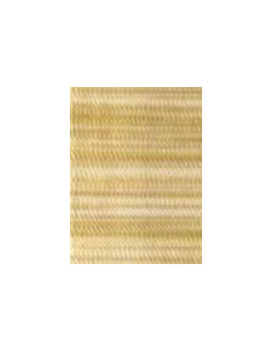 Filato Madeira Polyneon n.40 - 1000mt col: 1511