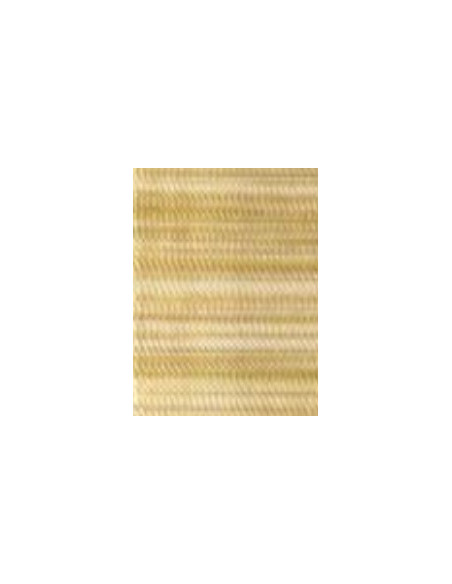 Filato Madeira Polyneon n.40 - 1000mt col: 1511